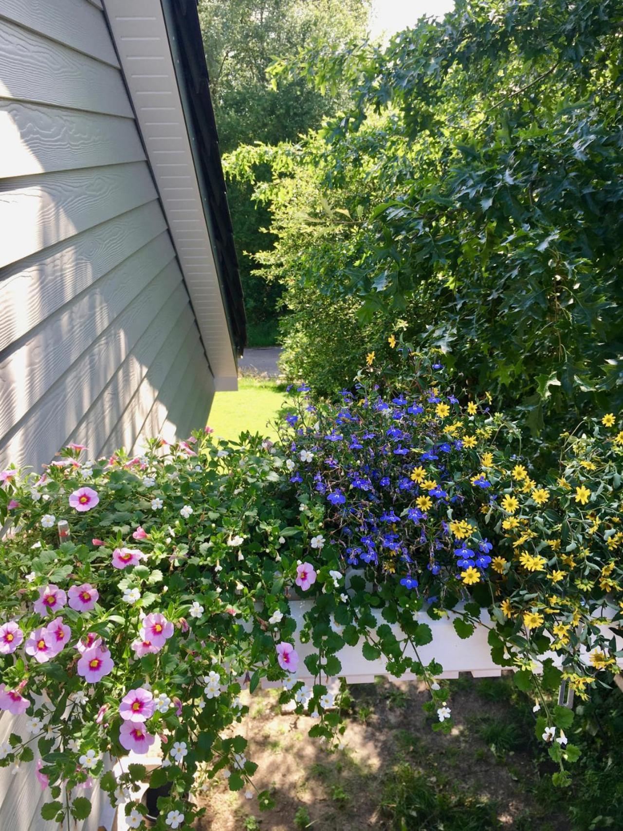 Leck Moorblick! Grosse Dachwohnung Mit Kamin Und Sauna מראה חיצוני תמונה